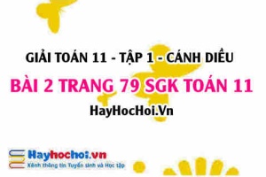 Giải bài 2 trang 79 Toán 11 tập 1 SGK Cánh Diều